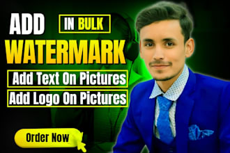 add watermark logo or add text image in bulk