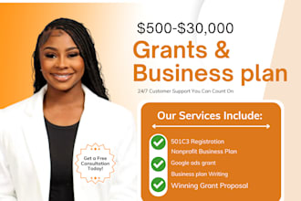 write investor ready nonprofit startup business plan, sba 501c3 grant proposal