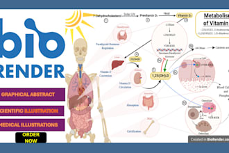 present educational, scientific and medical illustrations