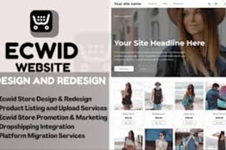 build ecommerce ecwid website seo design redesign dropshipping store development