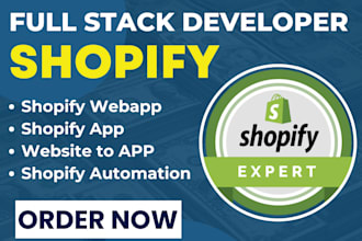 shopify store web app shopify website n8n shopify java or python developer