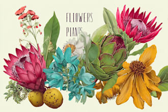 draw botanical illustration art for you