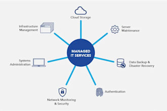 provide remote IT support for microsoft 365, windows, and networking issues