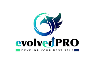 do a business and consulting logo for your agencies firm