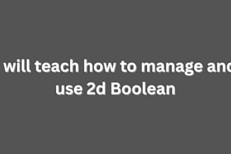 teach you how to manage and use 2d boolean