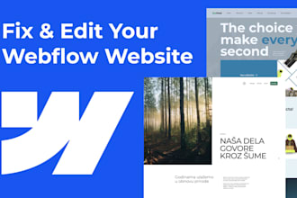 fix issues or make edits in your webflow website