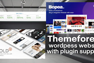 build a wordpress website and optimize any themeforest theme
