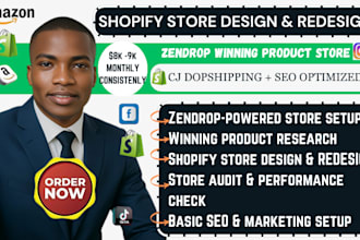 use zendrop for shopify dropshipping store design, audit, and marketing