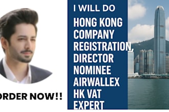 do hong kong company registration, director nominee airwallex, hk vat expert