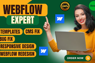 fix errors, customize cms, and redesign your webflow site