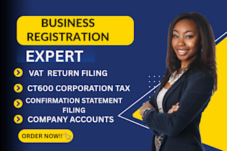 file UK vat filing  vat returns ct600 corporation tax eu company formation