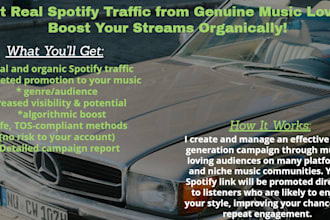 setup spotify campaign spotify promotion music promotion for  spotify track