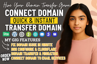 connect domain, do domain transfer, redirect domain, fix domain, connect domain