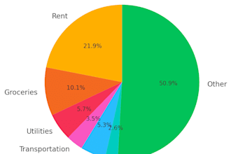 make a visual budget planner in excel