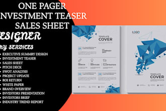 design one pager, executive summary, or investment teaser