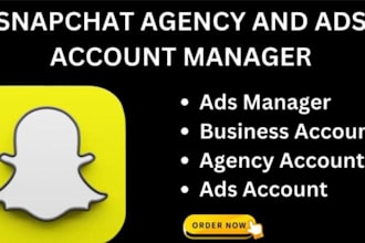 snapchat ads agency account with spending history, snapchat show portal