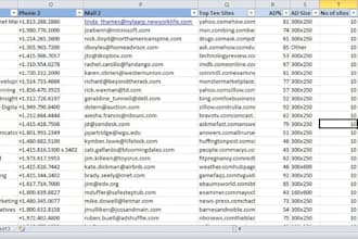 do data entry, web search and copy paste