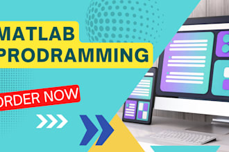 do matlab programming, simulations, image and signal processing