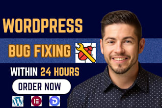 do website maintenance, wordpress support, website update, security and bug fix