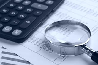 review and perform forensic accounting, financial audits, and investigate fraud
