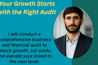 do a detailed financial audit and business analysis with growth tips