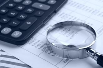review and perform forensic accounting, financial audits,