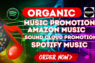 do spotify music album promotion for growth through ads advertisement campaign