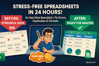 clean and organize your messy spreadsheet in 24 hours