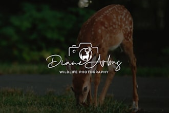 do modern minimalist business or photography logo with brand identity