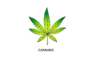 design cannabis and weed logo with 15 hours