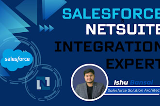 salesforce and netsuite integration expert