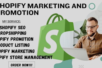 build your professional dropshipping shopify store