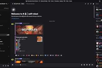 setup your discord server