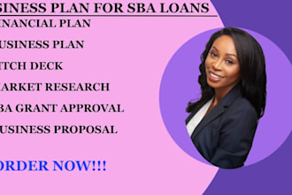 write business plan for startups, investor and sba loan