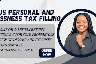 prepare or efile USA personal or partnership income task return