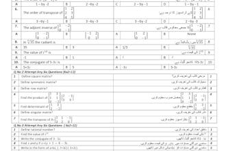 do do photoshop, inpage urdu, and ms office work