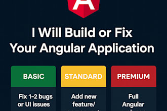 build or fix your angular application professionally