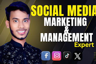 expertly manage facebook instagram marketing and twitter