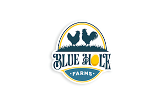 design unique blue hole farms logo