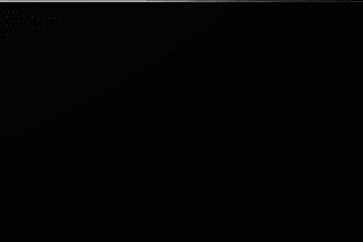 fix bugs in your website