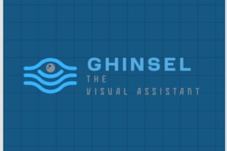 be your pro visual assistant, fast delivery