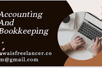 do professional accounting and bookkeeping for your business