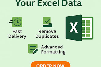 create professional excel reports, formula, and dashboards