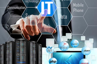 provide remote IT support and network troubleshooting