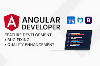 develop angular features, fix bugs, and enhance project quality