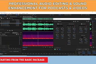do professional audio editing and sound enhancements