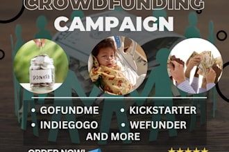 help with indiegogo crowdfunding campaign setup, help me reach my funding goal