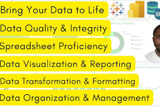 be your personal business intelligence and data visualization specialist