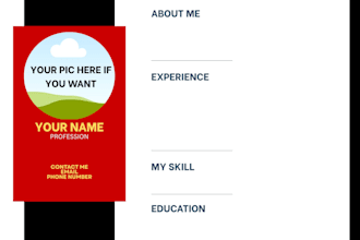 do professional CV, resume and cover letter writing