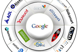 profesionaly submit your site to over 1000 high PR search engines